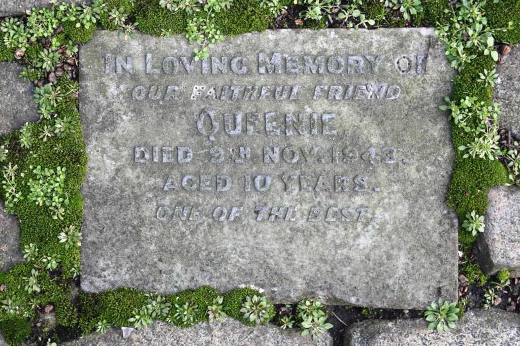 Headstone in the Old Blue Cross Pet Cemetery